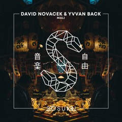 David Novacek & Yvvan Back - Mali [FREE DOWNLOAD]