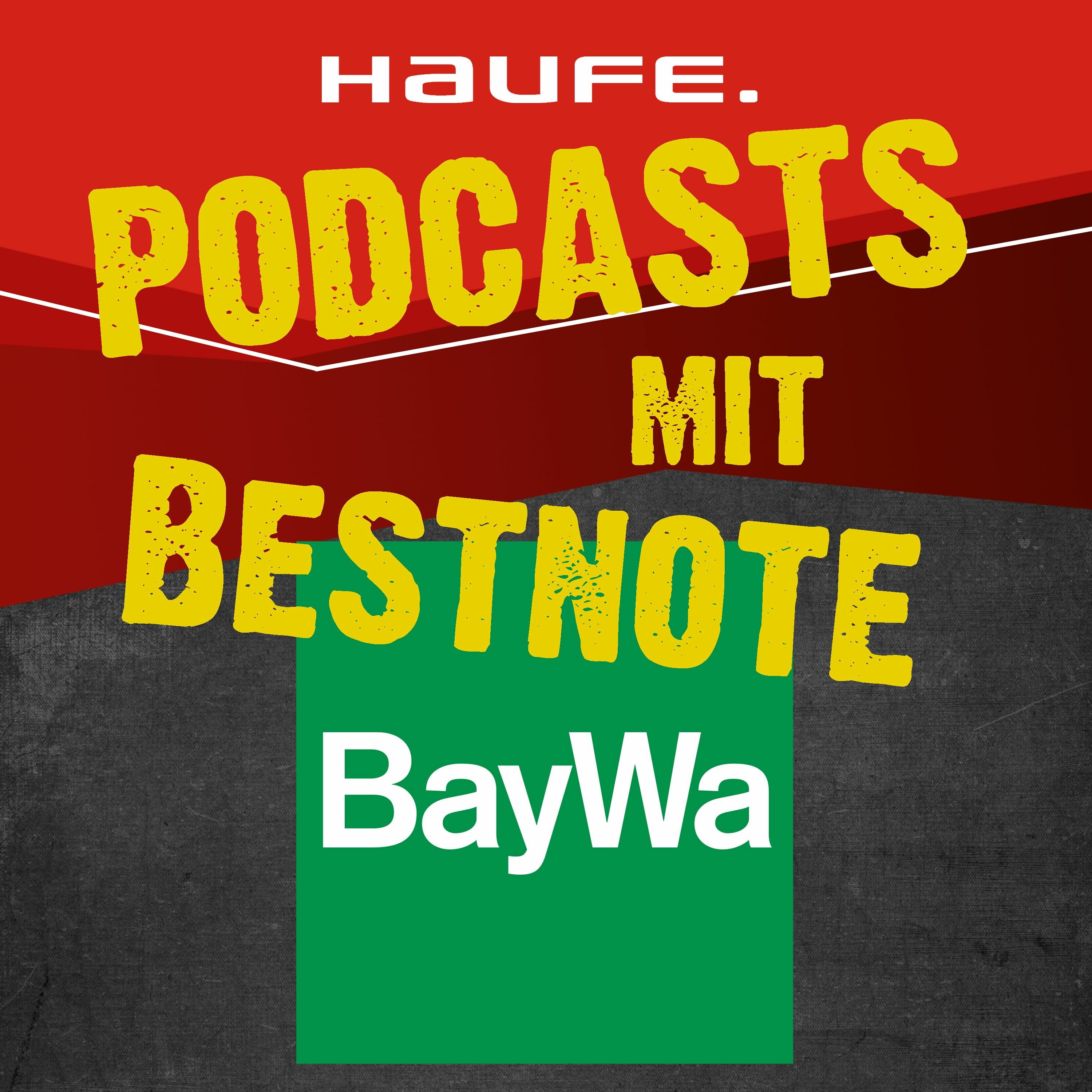 Doris Hammerschmidt - Das Podcast-Buch