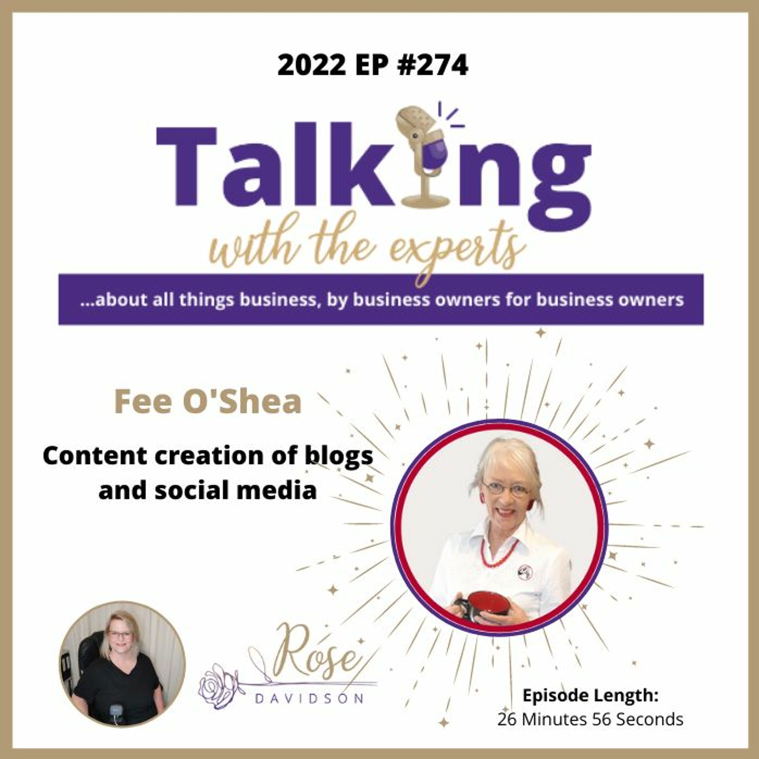 Talking with the Experts