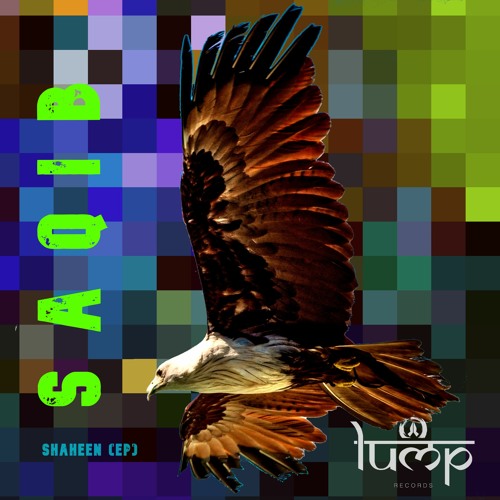 Saqib - The Highest Mountain [Lump Records]