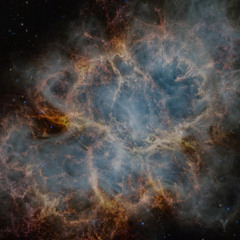 offshore - nuhn brand new