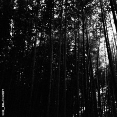 03_BLA REN (Downtempo)