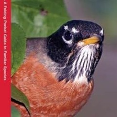 Read online Wisconsin Birds: A Folding Pocket Guide to Familiar Species (Wildlife and Nature Identif