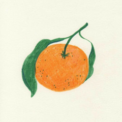 satsuma (honey sitrus みかん)