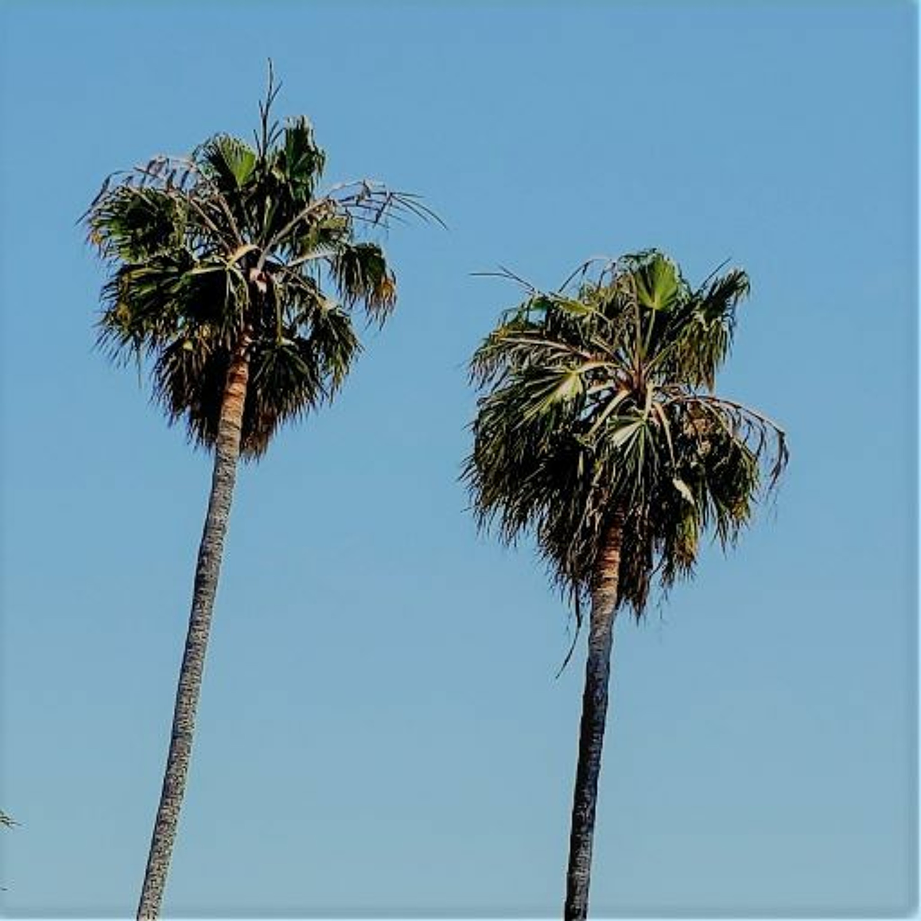 Sands Ranch Mixes (DJ Doug Sands)