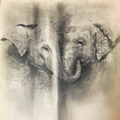 Colour me in (with bricity)