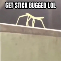 GET STICK BUGGED LOL (Kris lol's Hardstyle Remix)