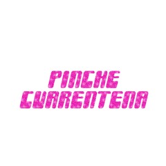 pinche cuarentena