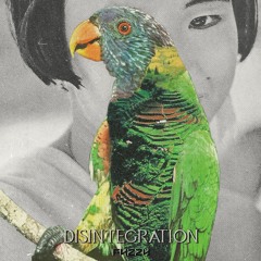 Disintegration