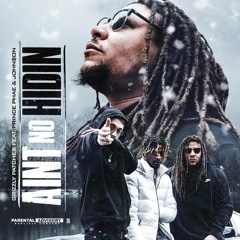 Aint No Hidin- Grizzly Patches(feat. Prince Phae & John$on)