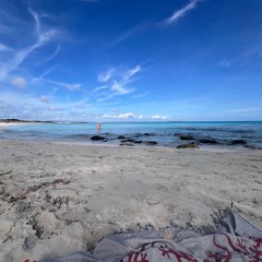 Transit - Collection #43