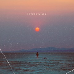 Dinlad - Nature wisps