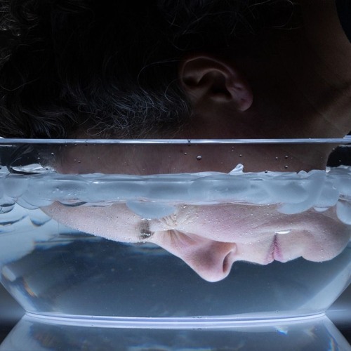 La terre avait depuis longtemps bu ses miroirs