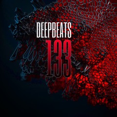 - Para - Deep Beats 133 -