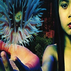 shwn - White Chalk (7300)