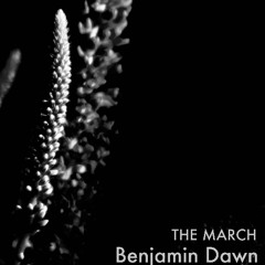 THE MARCH