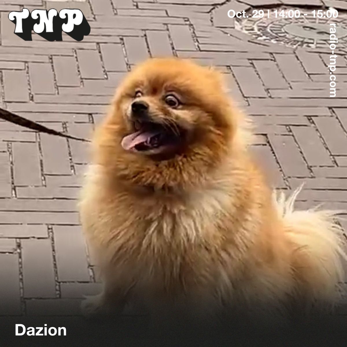 Dazion