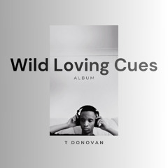 Before The Fireworks