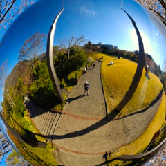 Waltz of the Wind (Remastered 2025)