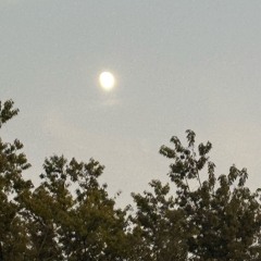 Stick Together (prod. sickboi)