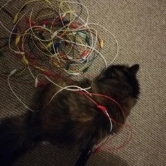 Improv On A Monday #4 (feat. Guillaume Dujat)