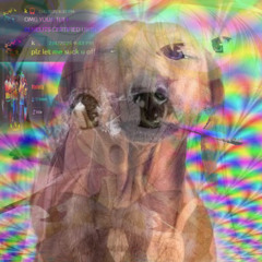 fuck them behelits niggas (w/ jayne7)