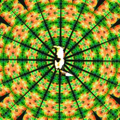 Luvolin - Licious (Original Mix)