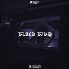 [BEAT] Black Bird - Hard UK Drill Instrumental - Prod. by Basbeats x Alldaynightshift🌗