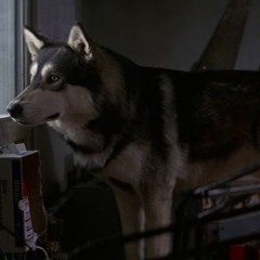 Jed should've won an oscar in 83