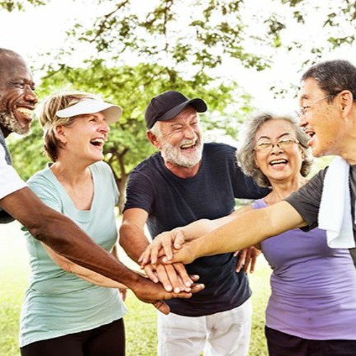 Stream episode 3 Domains of Well-Being Extend Elderly Mobility and ...