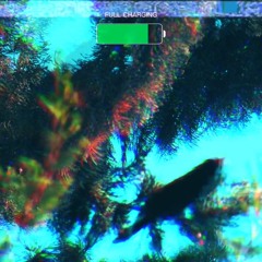 NØ NØ