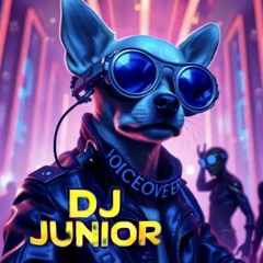 DJ Junior
