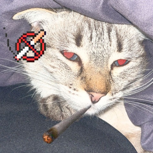 SUBE Y BAJA (PROD. 2ukko)