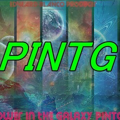 PINTG-ORIGINAL REMIX-NETRSC P16