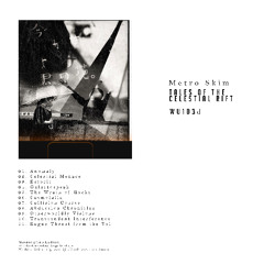Metro Skim - Celestial Menace [SOMA SELECTS Premiere]