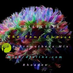 The Collectives (LP edition by DJ Prometheus)