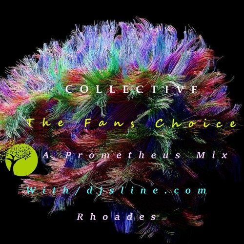 The Collectives (LP edition by DJ Prometheus)
