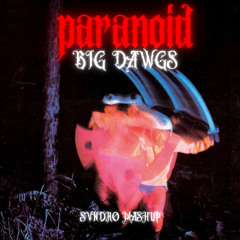 Paranoid x Big Dawgs (SVNDRO MASHUP)