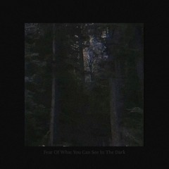 fear of what you can see in the dark