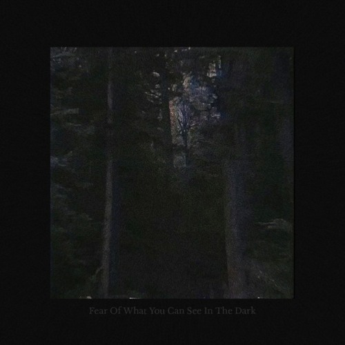 fear of what you can see in the dark