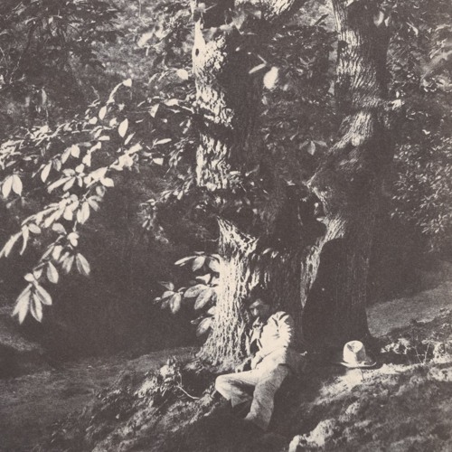 romantic jungle, atmospheric drum and bass, and ethereal breakcore mixtape