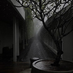 ａｍｂｉｅｎｔ </> 16.5H 🌿 By hazyevidence 🎌