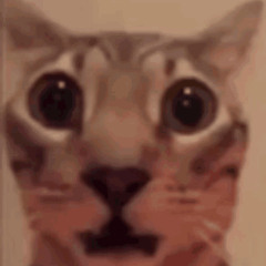 Teenage Disaster - INSIDE (Snippet)