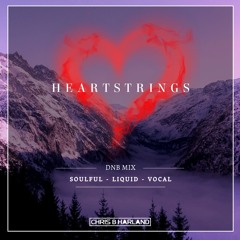 HEARTSTRINGS - Soulful/Liquid/Vocal DNB Mix
