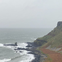 Foggy Shores