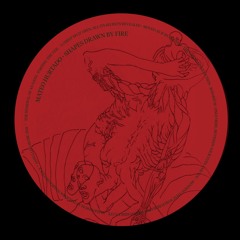 Mateo Hurtado - Shapes Drawn By Fire [Album]