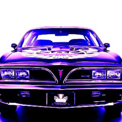 FireBird Memories