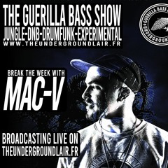 Guerilla Bass Show: MAC-V #8 UNDERGROUND LAIR