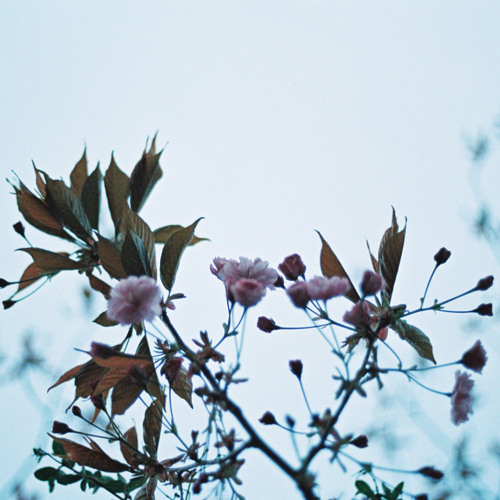 pale skin / piano / voice memo