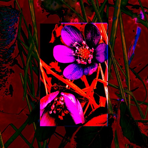 Sample Harmony 28.04.24